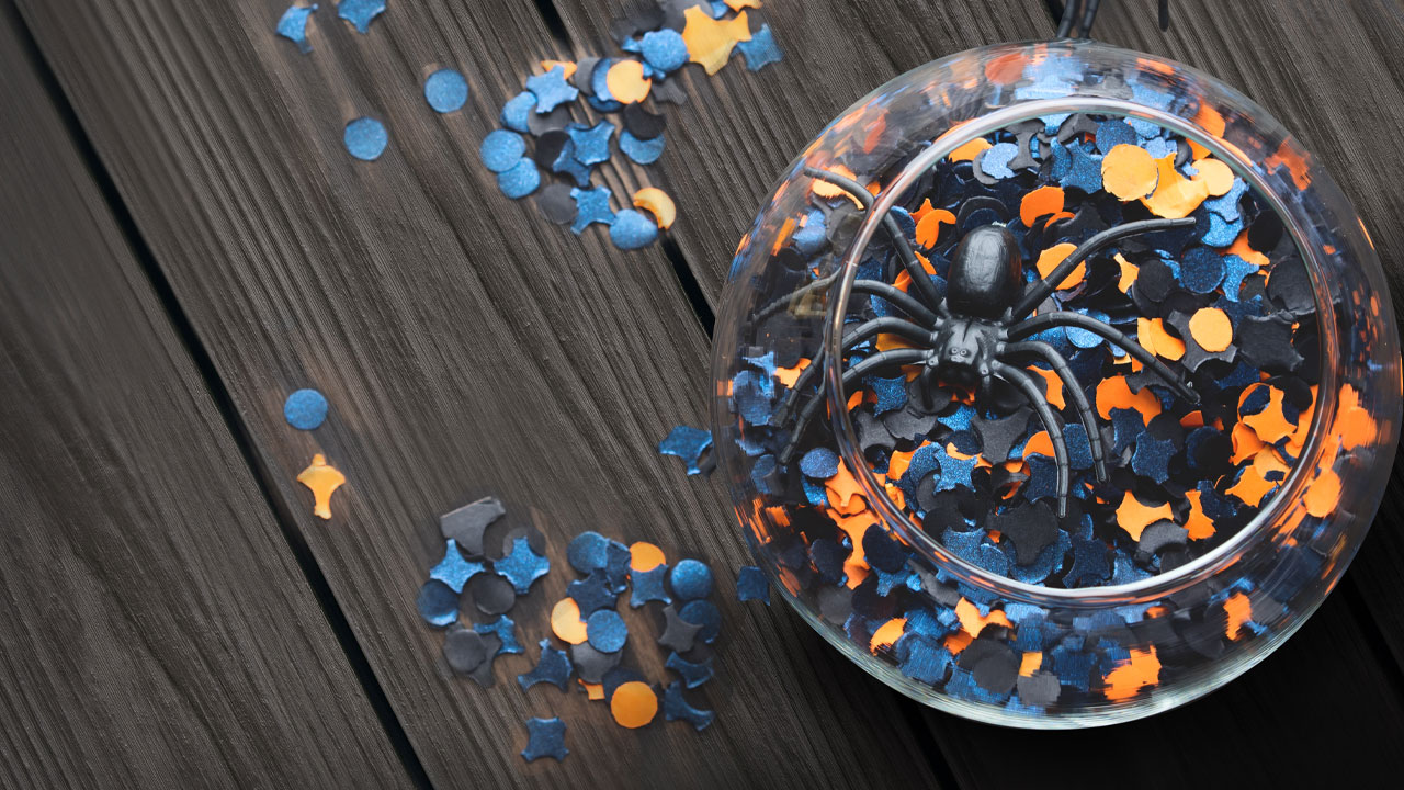 Get Your SA Outdoor Space Ready For Halloween